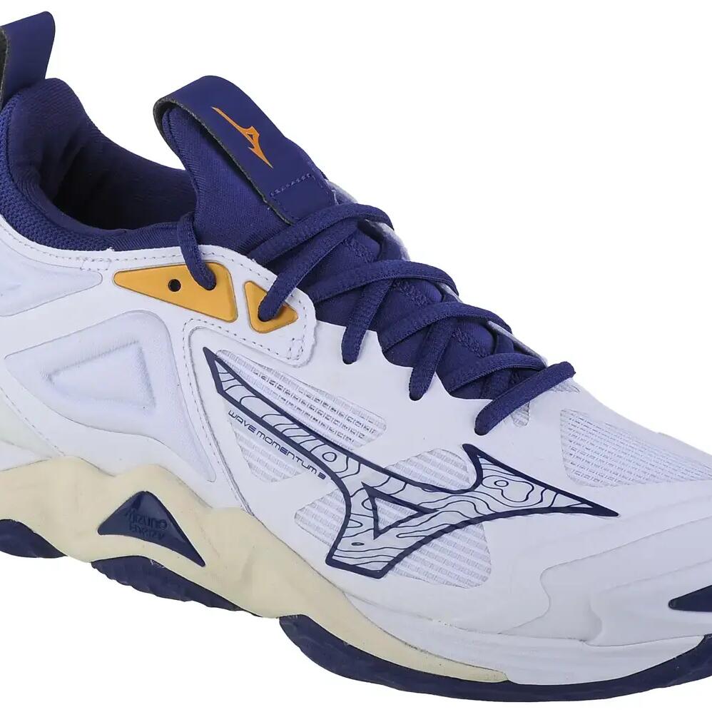Men's Volleyball Shoes Mizuno Wave Momentum 3