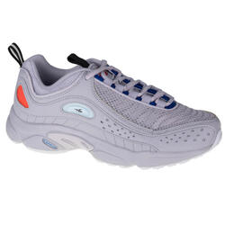 Sportschoenen voor heren Reebok Daytona DMX II