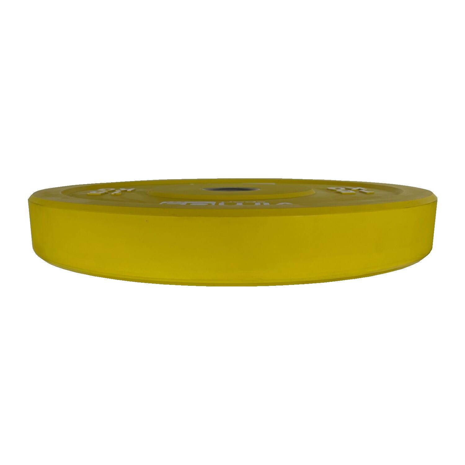 Disco Bumper 15kg 2/3