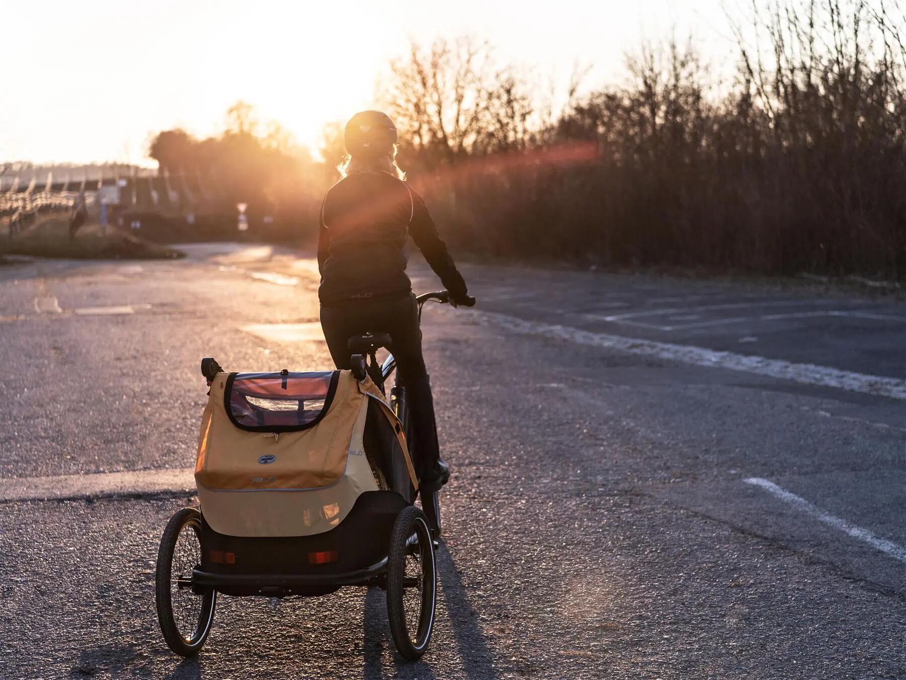 MONO S BS-C09 kinderfietskar, goudsbloem 6/8