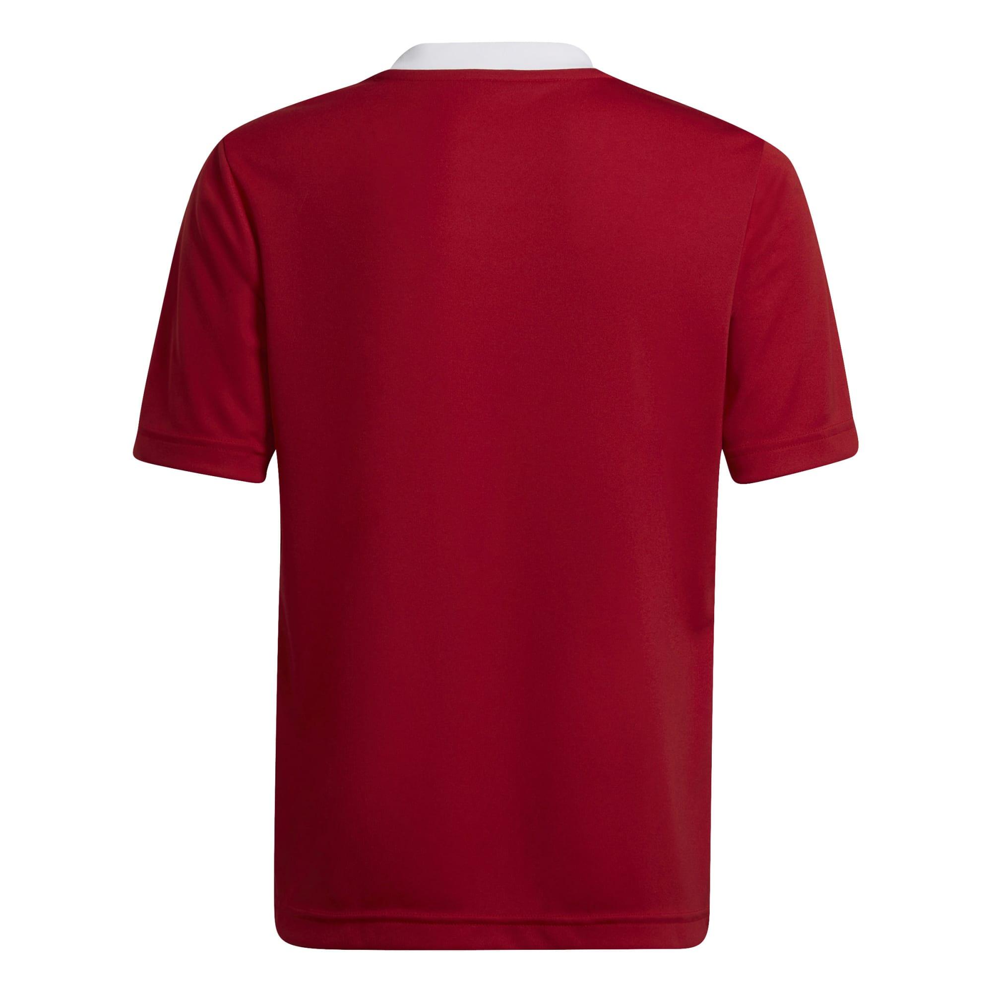 T-shirt Adidas modèle H57496 pour enfants 2/9