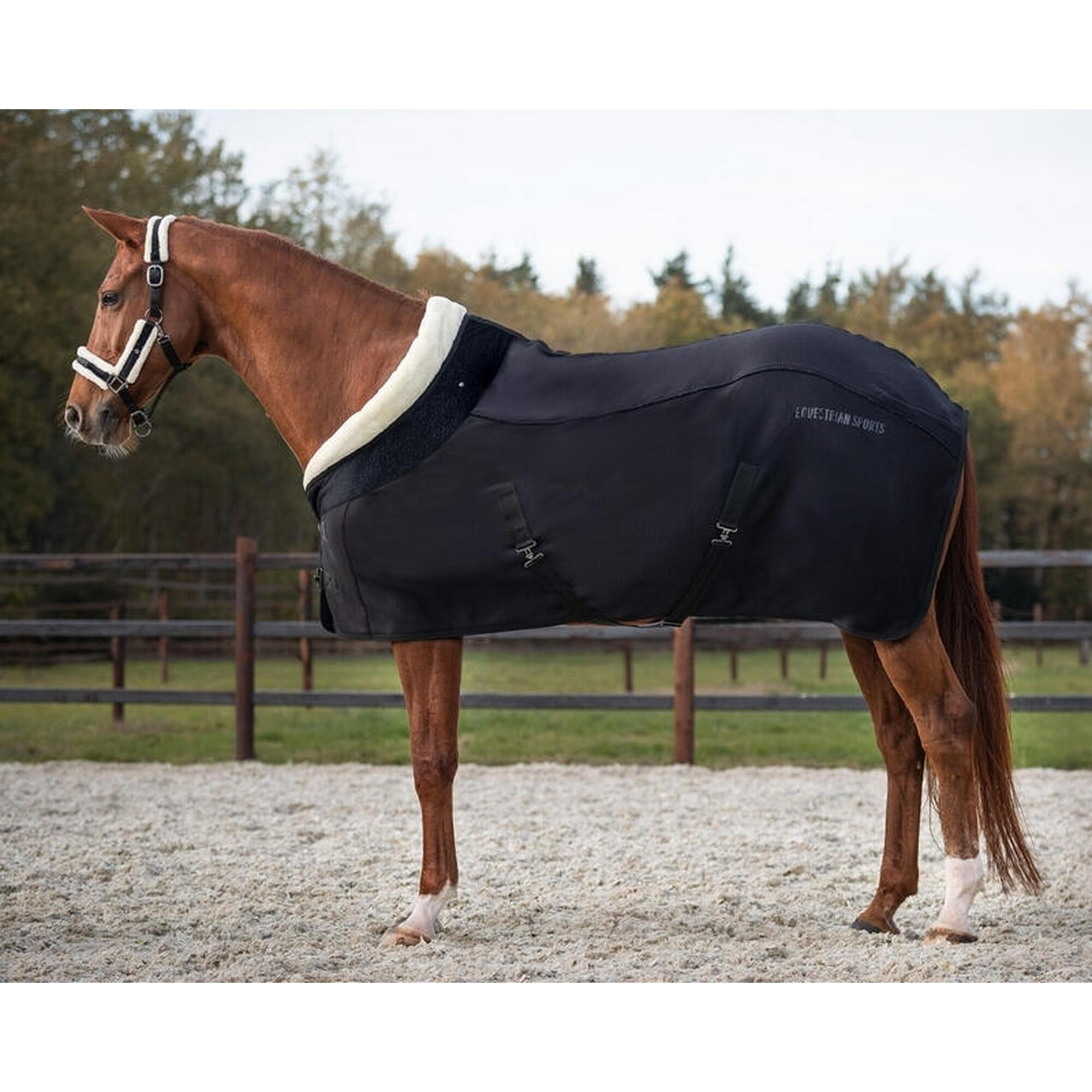 Horse fleece blanket QHP Julin