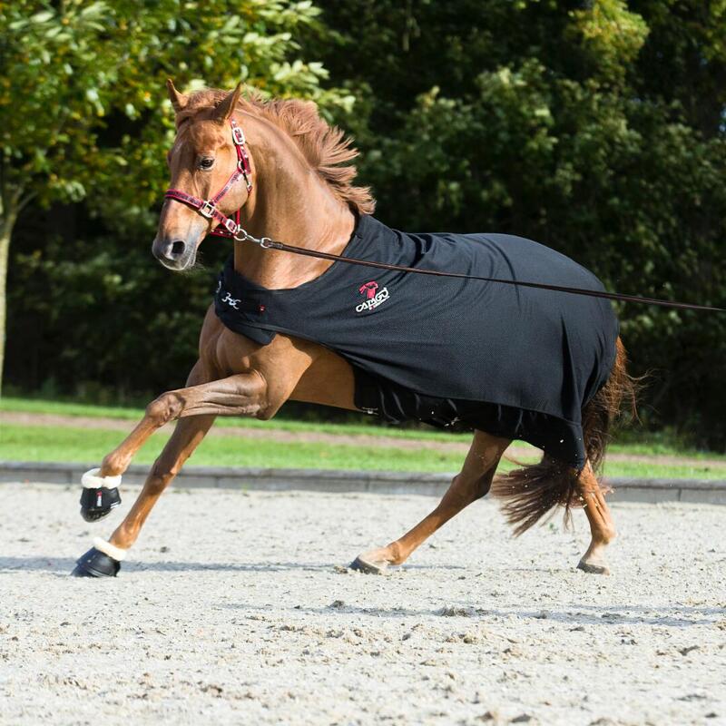 Paardenloopdeken Catago FIR-tech