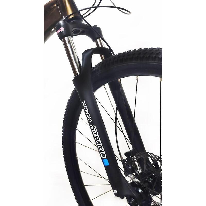 Bicicleta 29 CLOOT  PROLEVEL 9.3 SHIMANO  12v  11-50