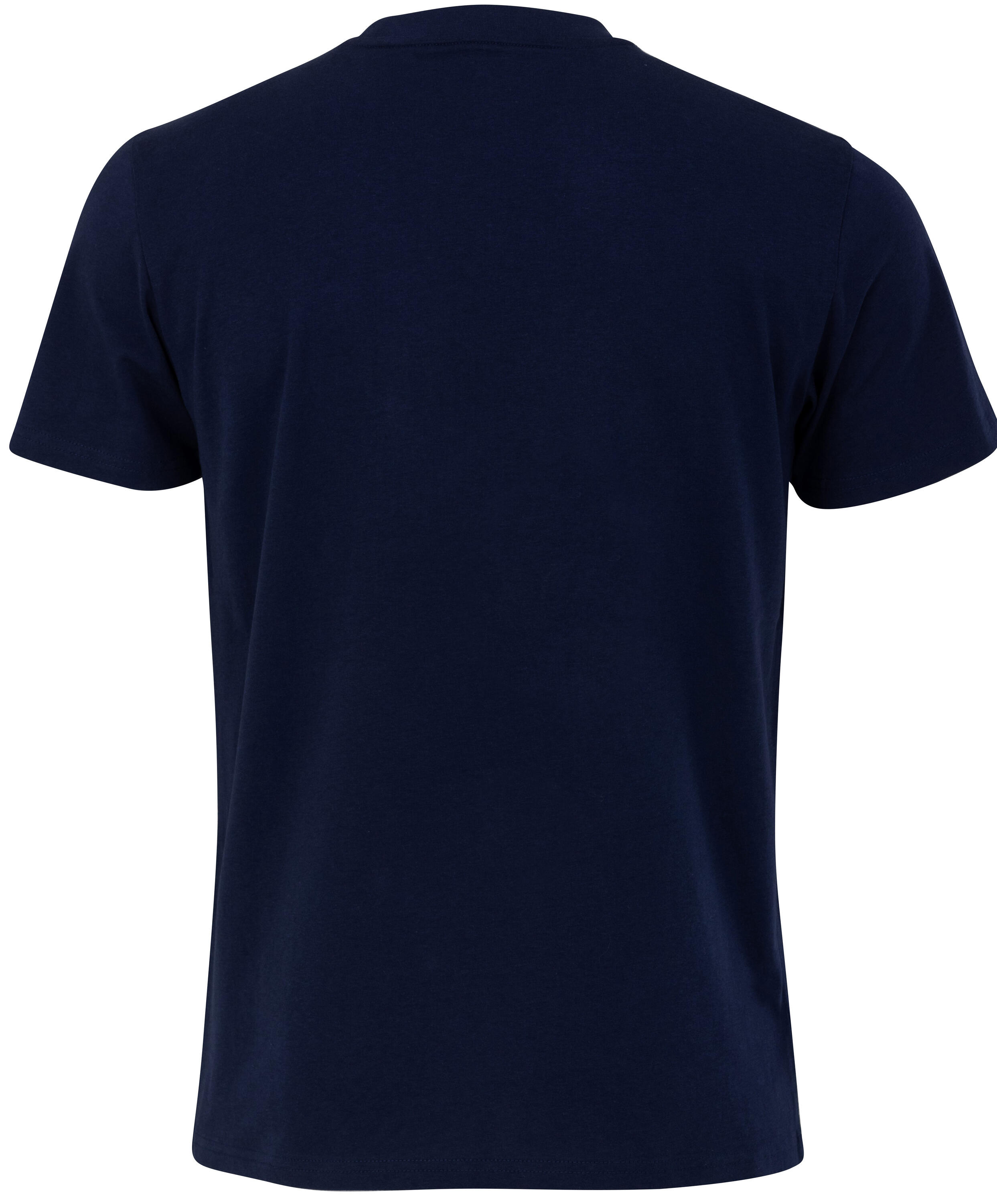 T-Shirt Equipe De France FFF – 2 étoiles – Officiel, Taille Enfant Garçon, 100% Coton – Collection Supporter