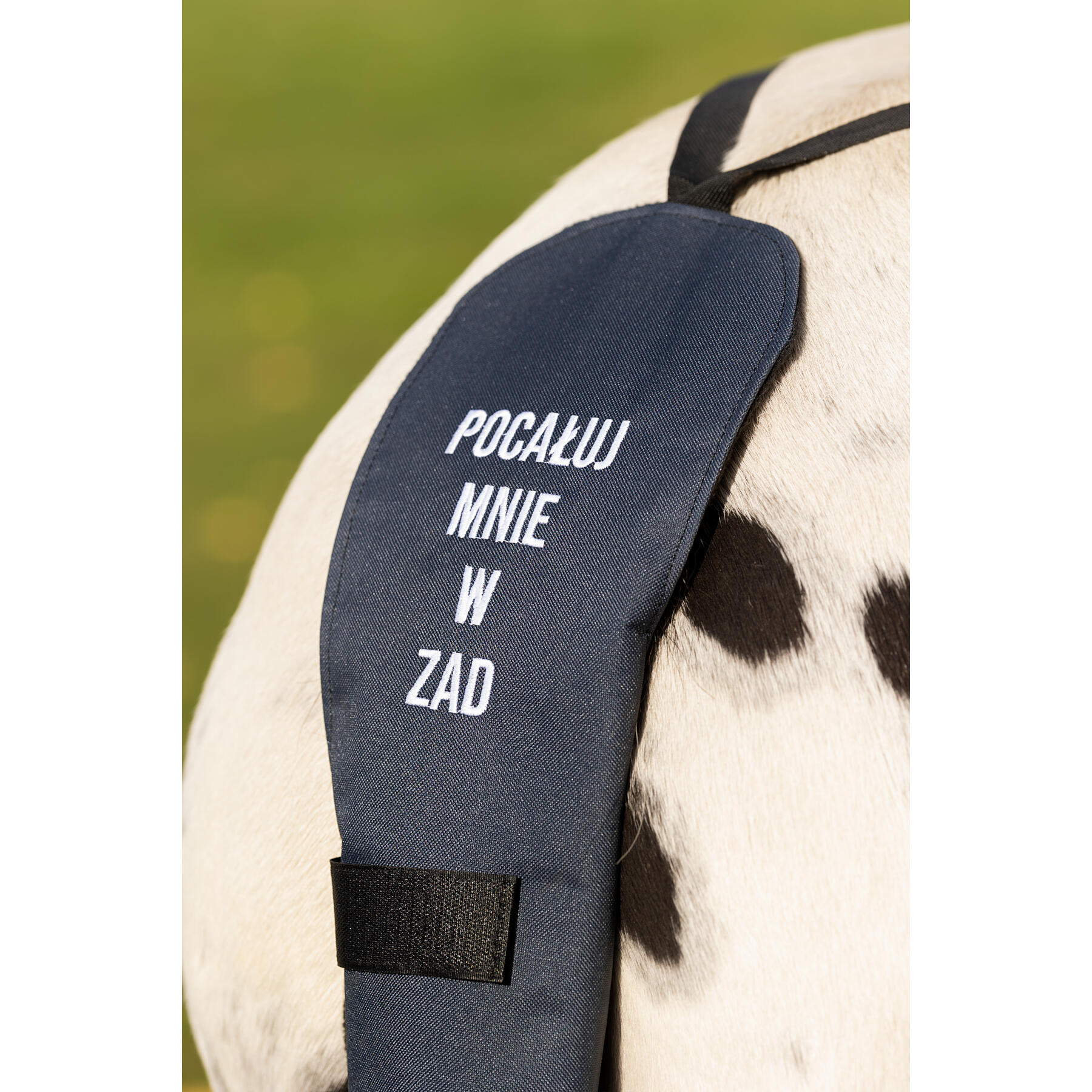 Ochraniacz transportowy na ogon GALOP WEAR Pocałuj mnie w ZAD 4/6