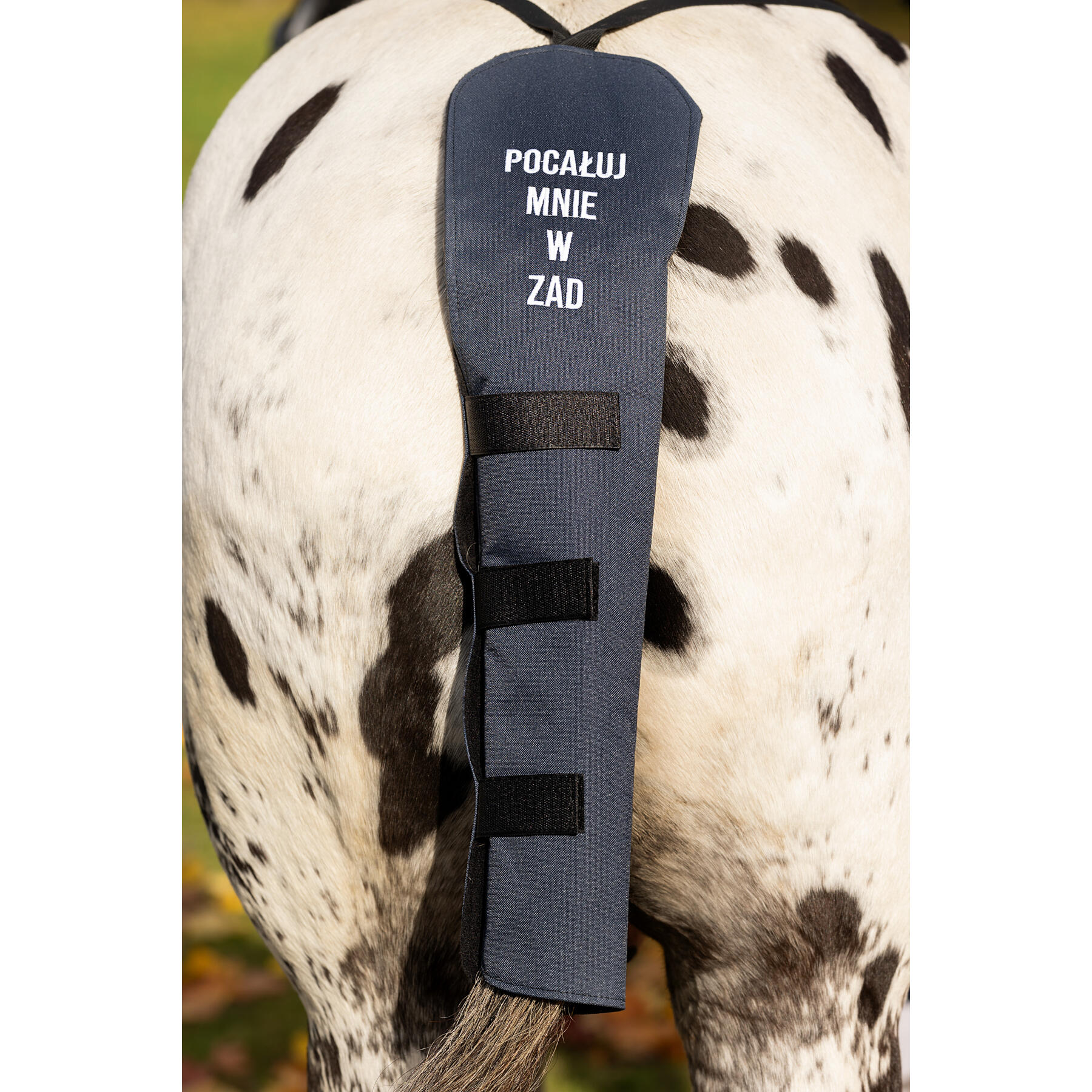 Ochraniacz transportowy na ogon GALOP WEAR Pocałuj mnie w ZAD 6/6