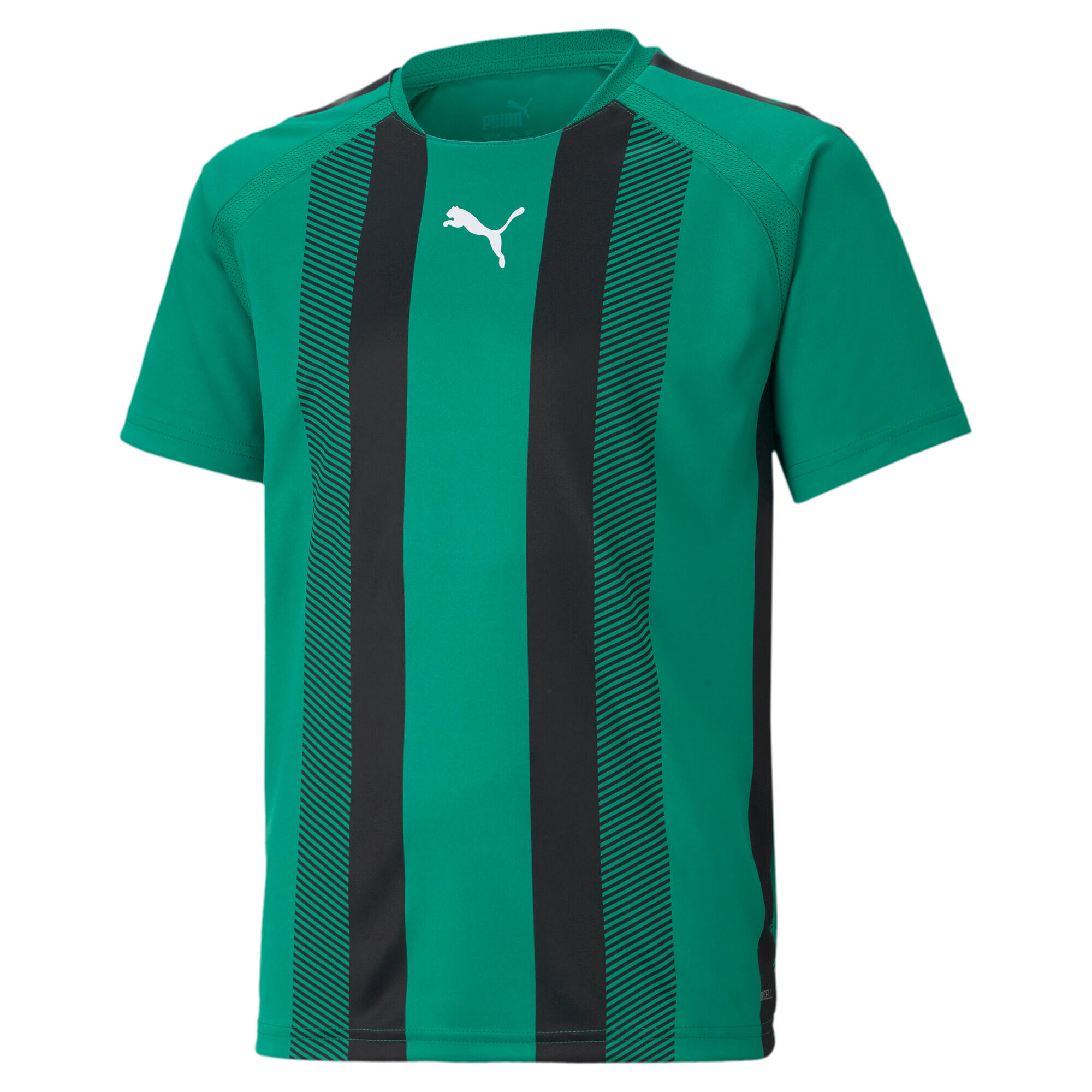 Children's jersey Puma Team Liga Striped