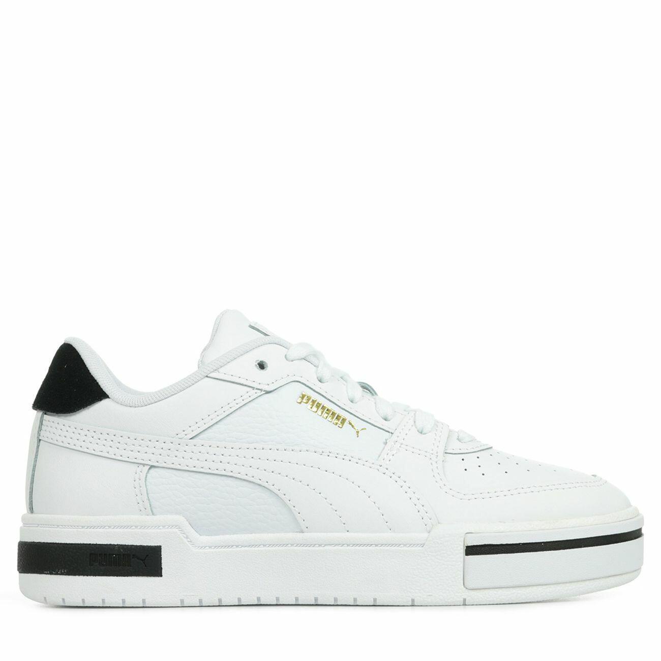PUMA picture
