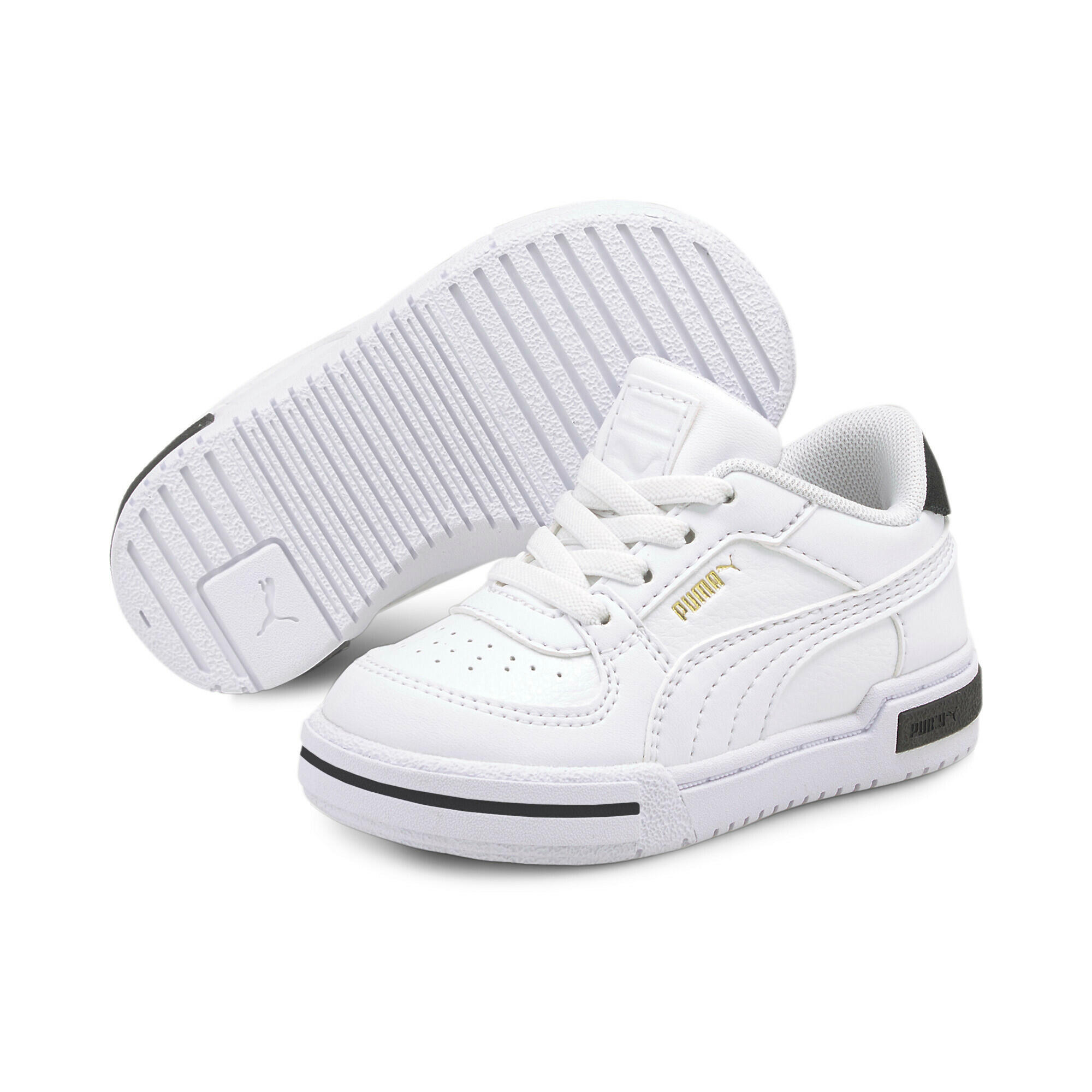 PUMA picture