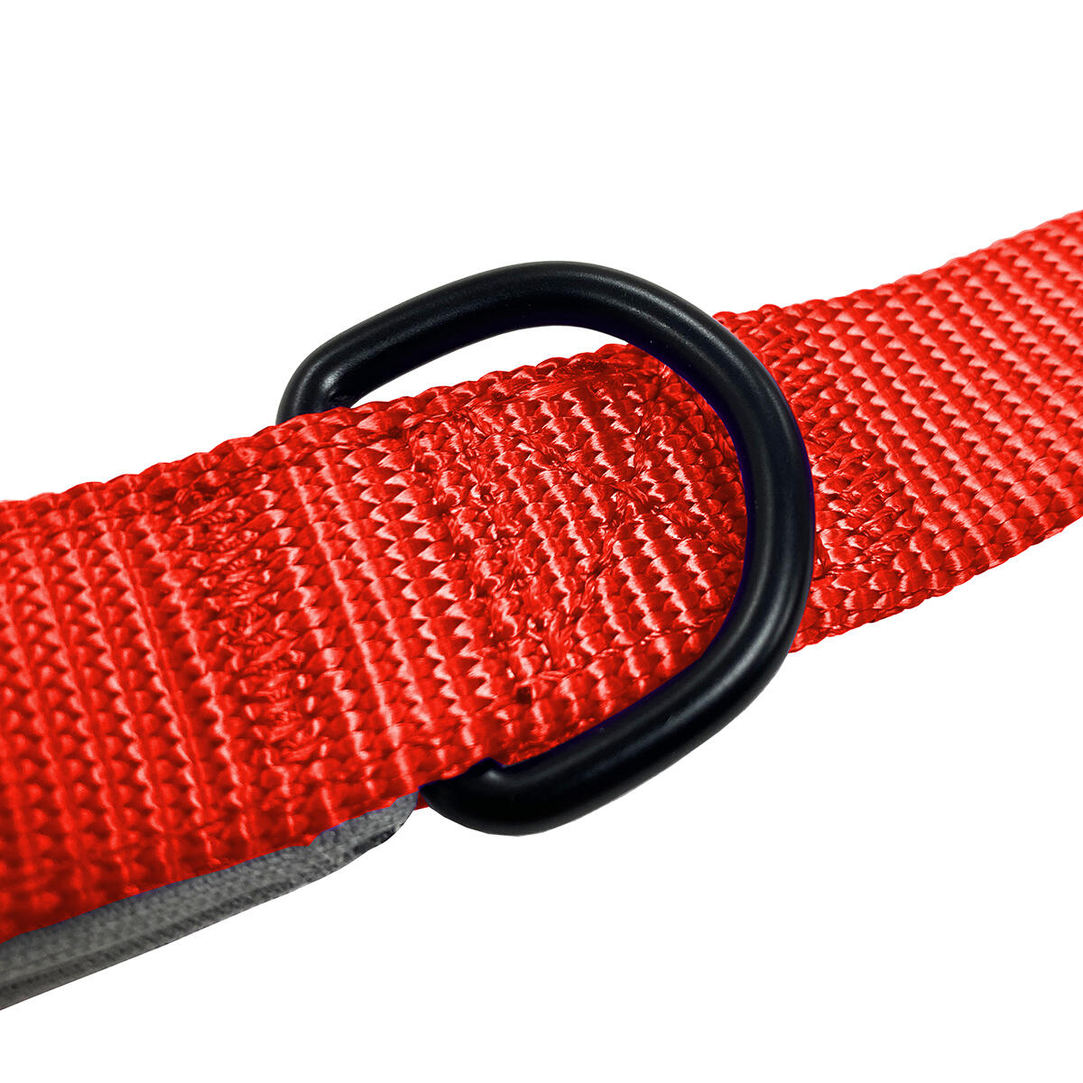 HugglePets Padded Weatherproof Dog Lead 4/6