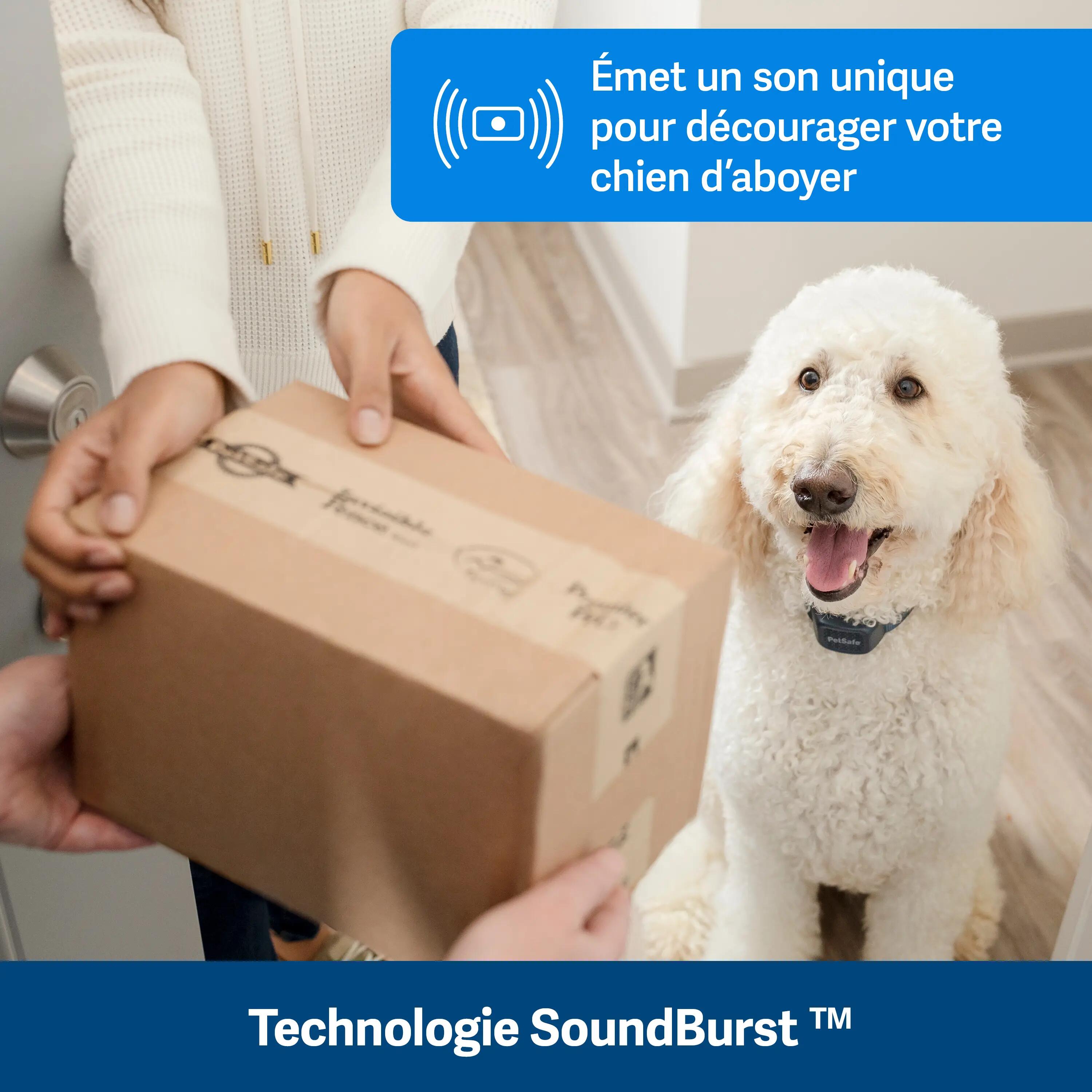 ANTI ABOIEMENT SONORE RECHARGEABLE 2/7