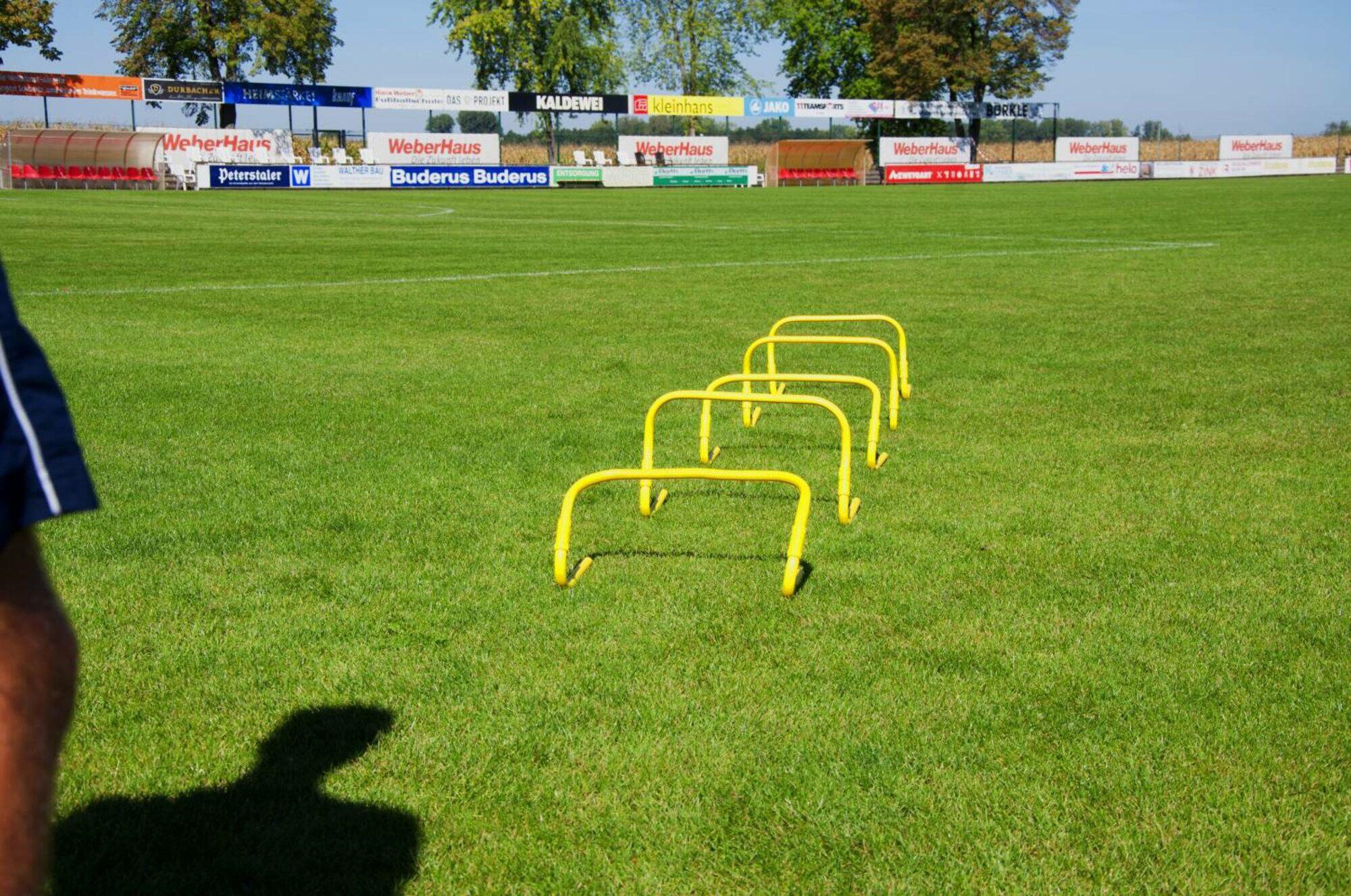 POWERSHOT 5er-Set verstellbare Hecken 23-30 cm⚽. 3/6