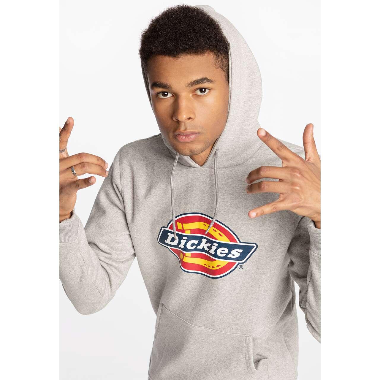 Sweat à capuche Dickies Icon Logo pour homme 3/5
