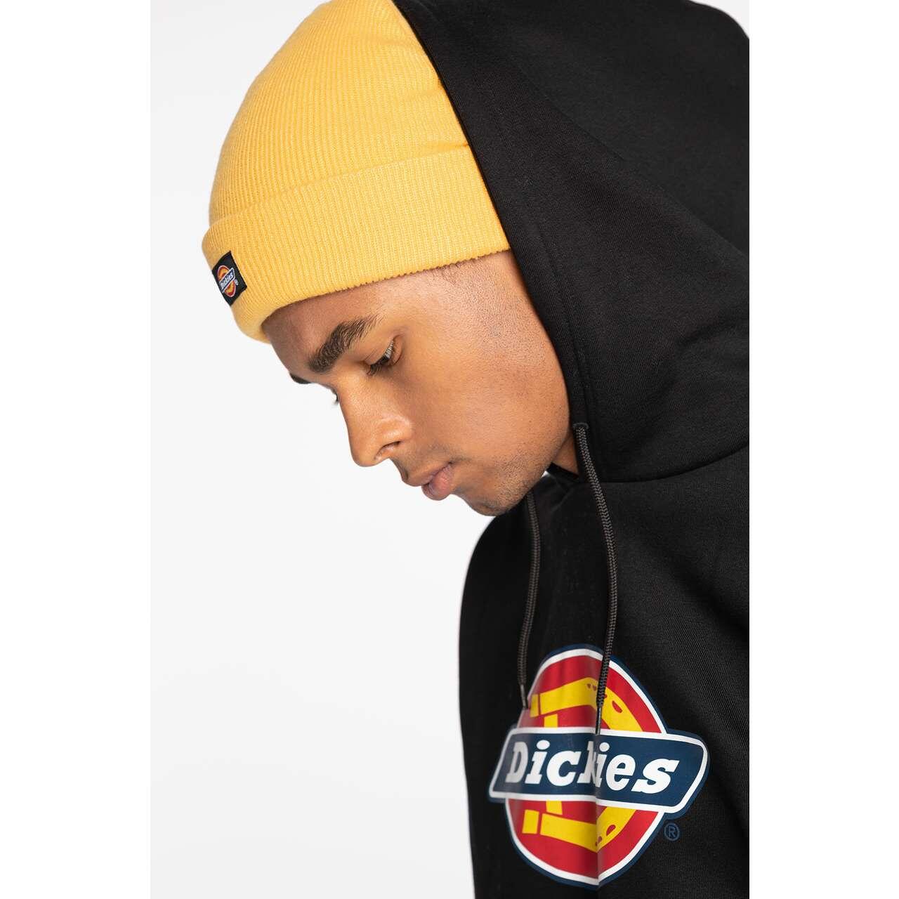 Felpa con cappuccio Dickies per uomini 3/5