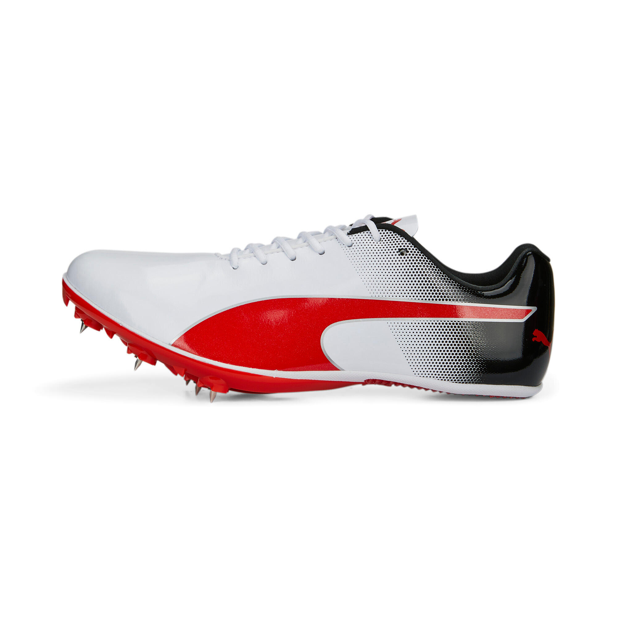 PUMA picture