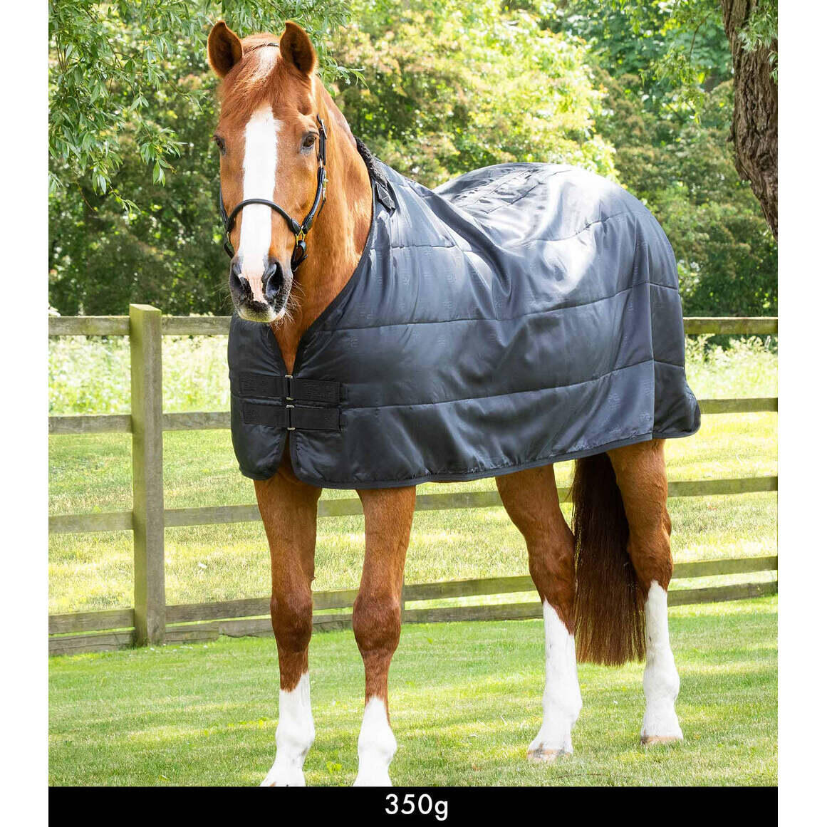 Horse blanket Premier Equine 350 g