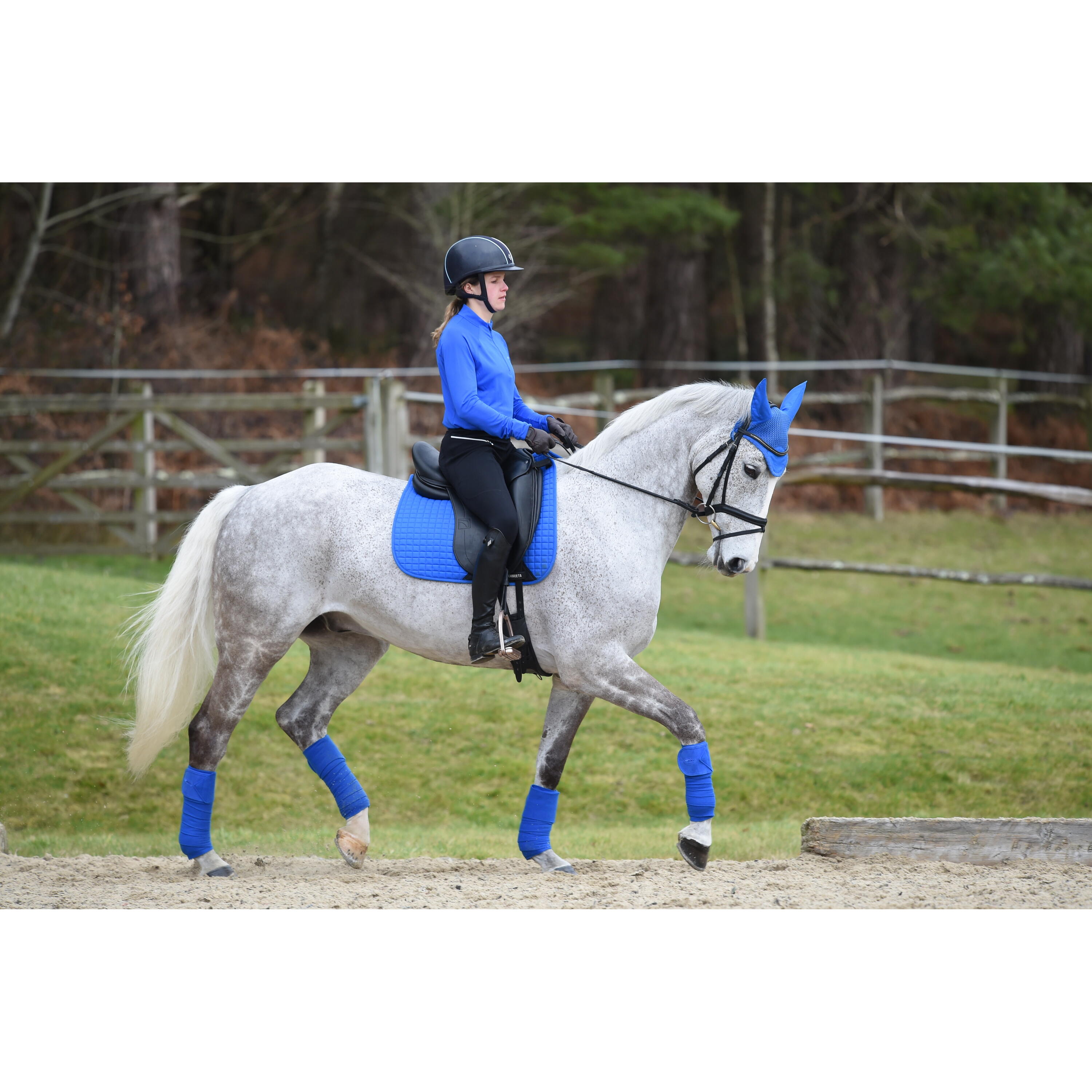 Reittrikot langarm Damen Weatherbeeta Prime 5/5