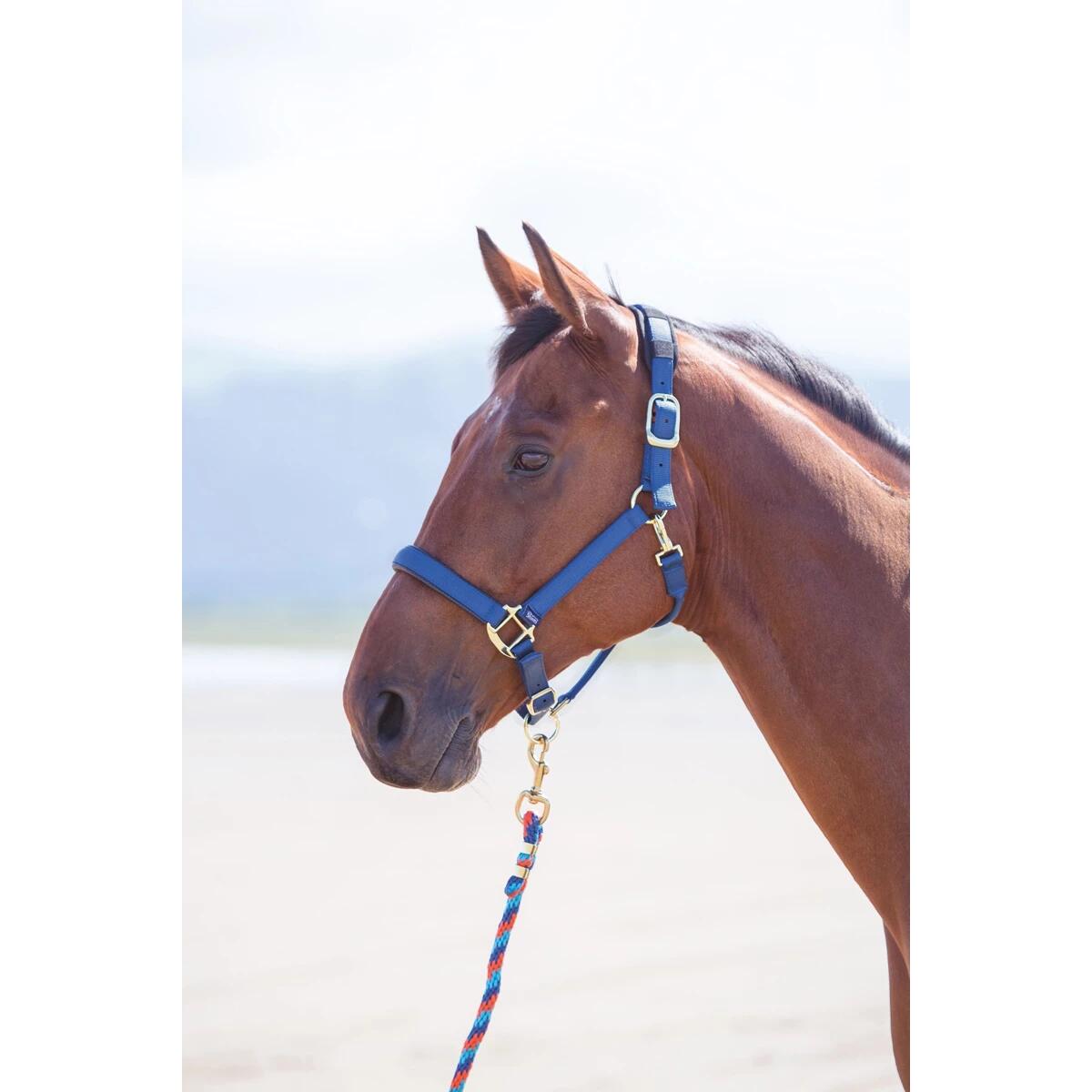 Halfter Nylon Topaz Shires Dunkelblau-Blau 2/2