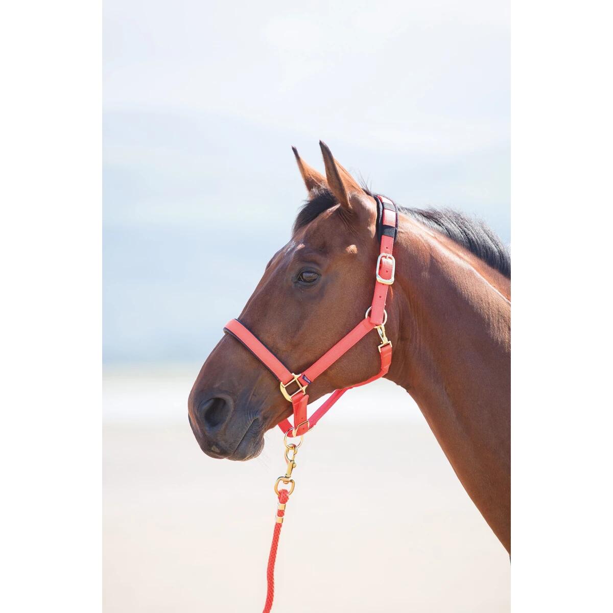 Halster Shires Nylon Topaz Oranje 2/2
