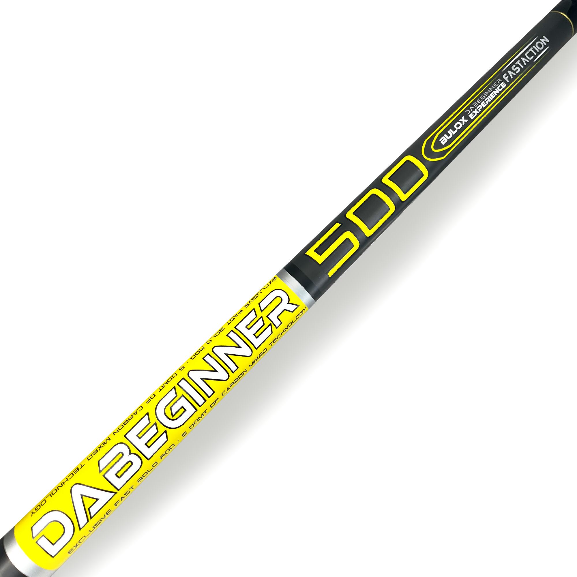 Canna per la pesca con gallegiante Bulox DaBeginner 5MT 2/7