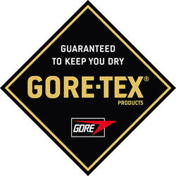 GUANTI DA SCI ALPINO BARNY GORE TEX KINETIXX