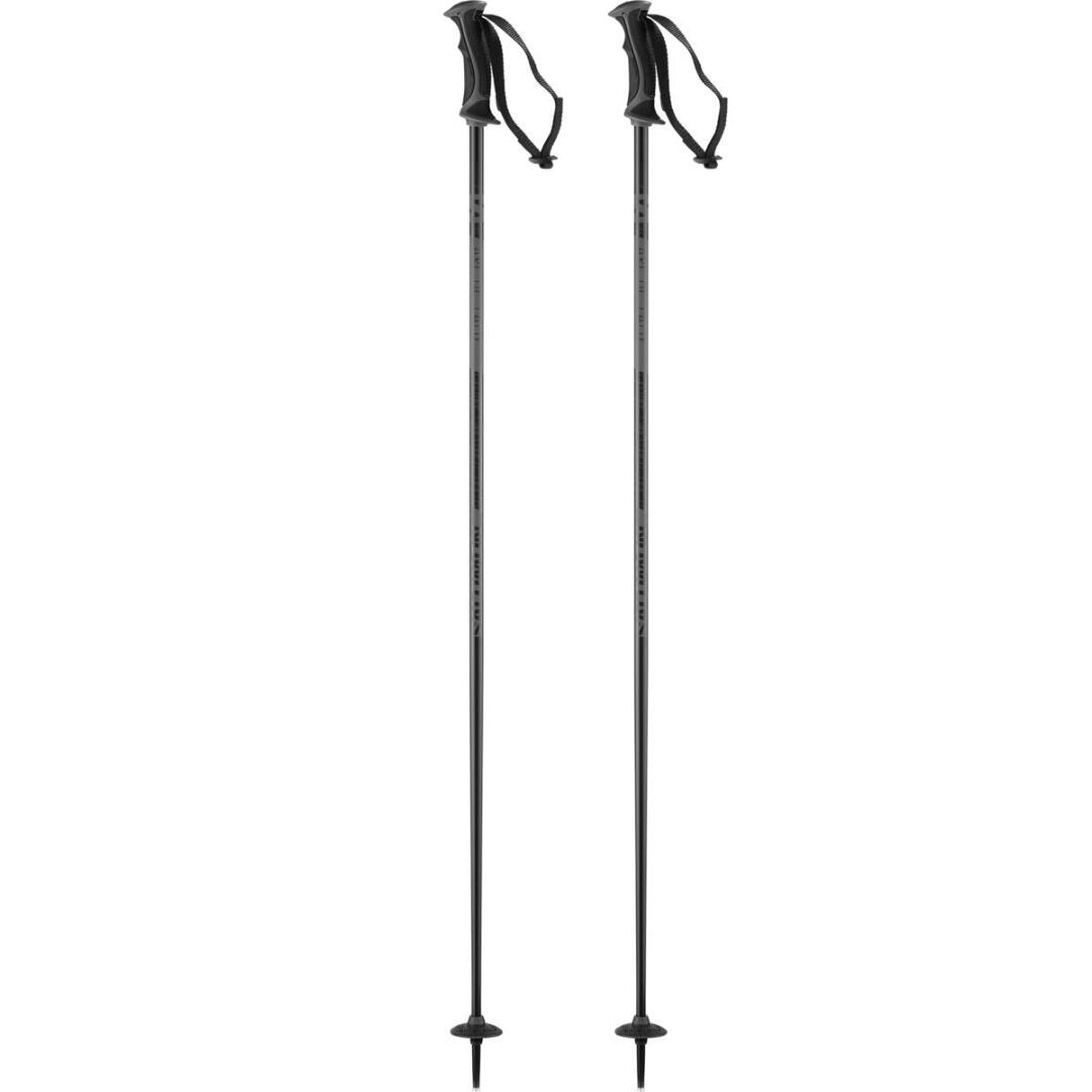 Batons De Ski Arctic Lady Black Grey Femme 3/3