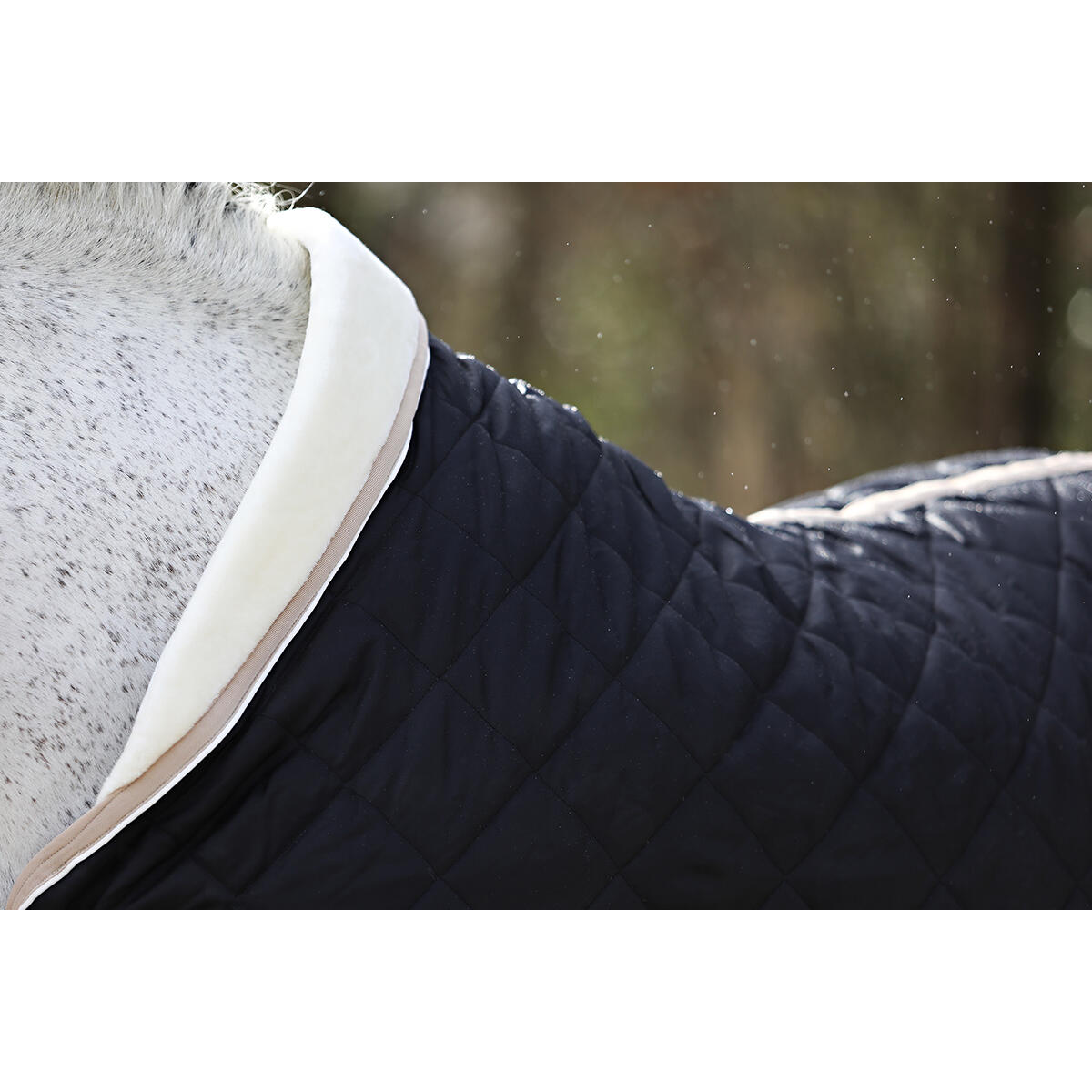 Stalldecke Lodix 150 g Horsegear Schwarz-Beige 5/6