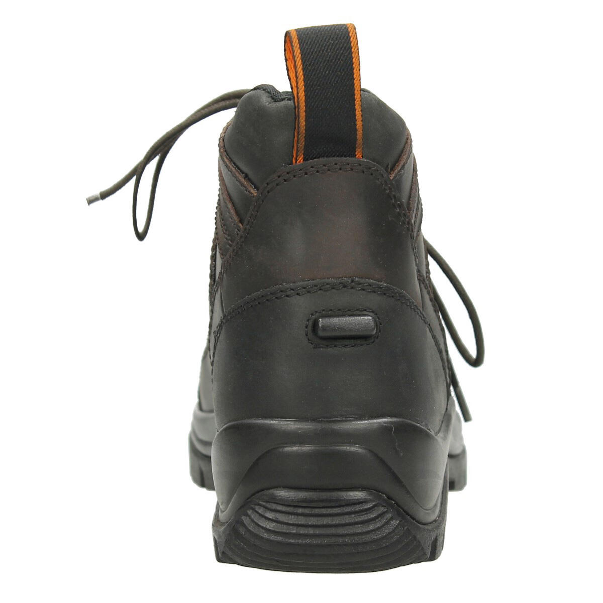 Chaussures d’Écurie EJTundra Epplejeck Marron 2/5