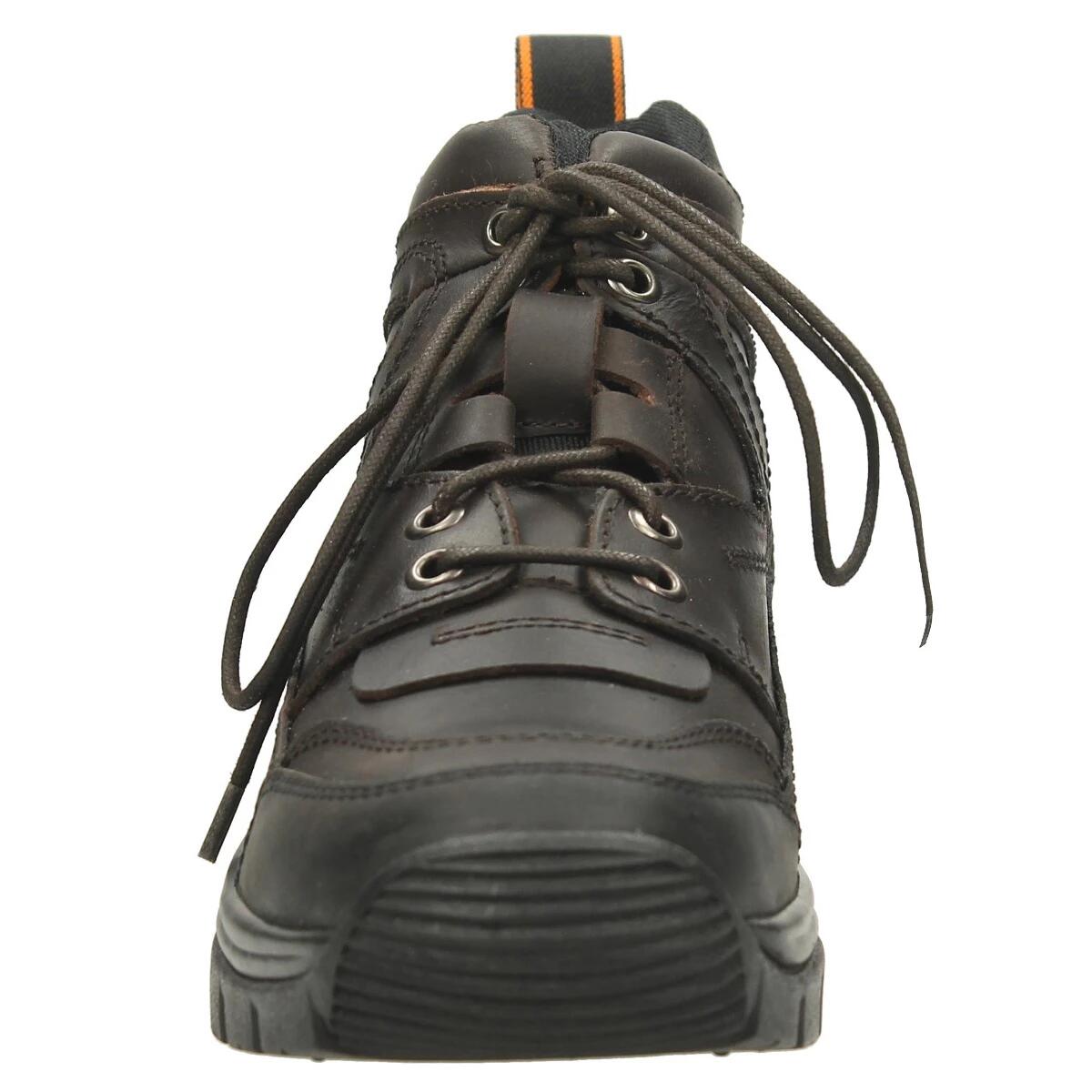 Chaussures d’Écurie EJTundra Epplejeck Marron 4/5