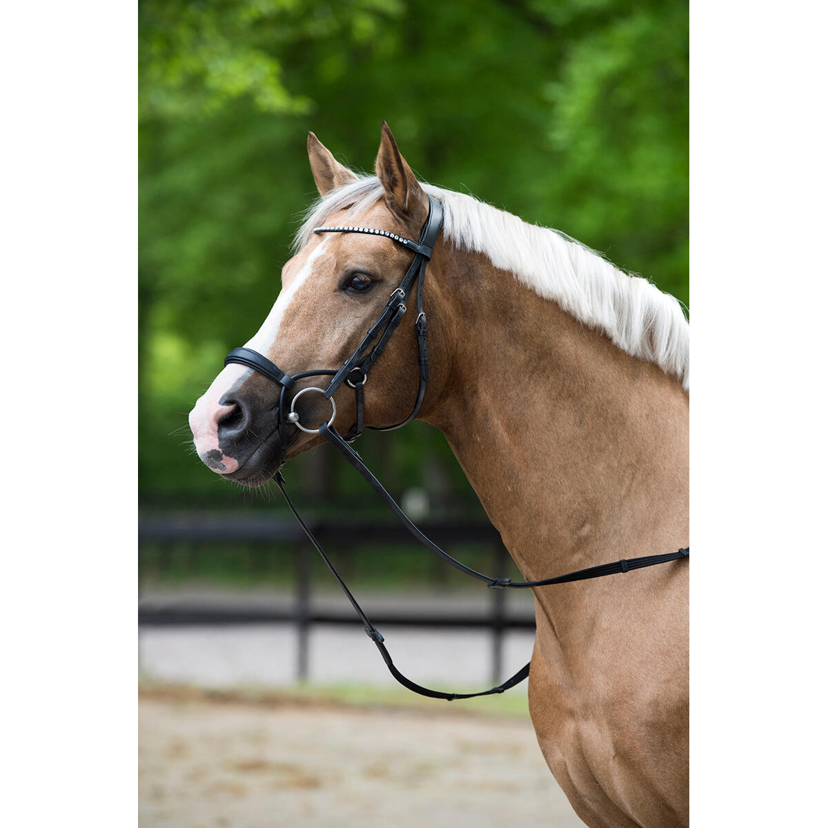 Trense Aquila Deluxe Horsegear Schwarz 4/6