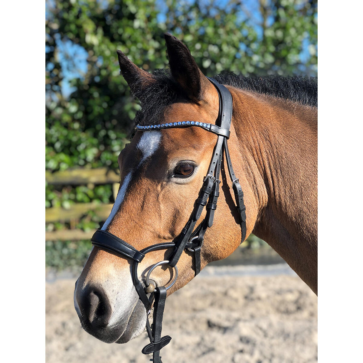 Trense Aquila Deluxe Horsegear Schwarz 6/6