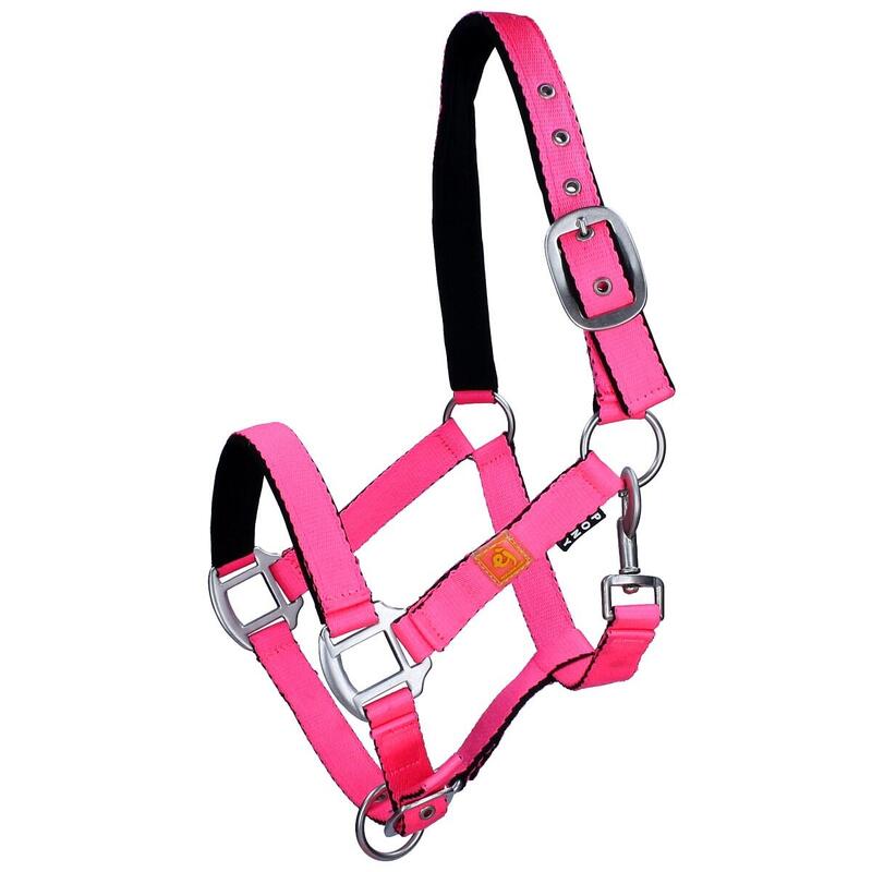 Licol Avec Frontal Anti-Mouches Neon Epplejeck Rose