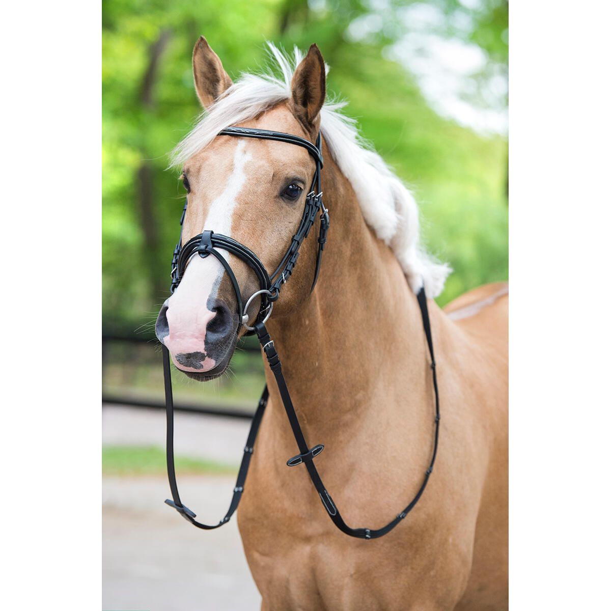 Trense Taron HORSEGEAR Schwarz 3/5