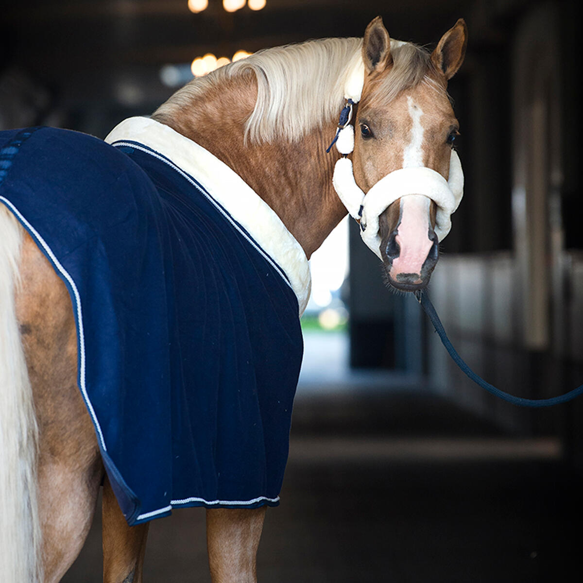 Licol Suave HORSEGEAR Naturel 6/6
