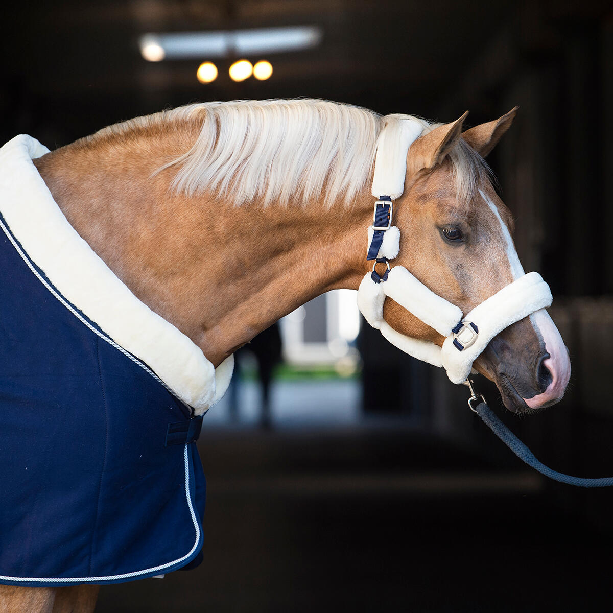 Licol Suave HORSEGEAR Naturel 4/6