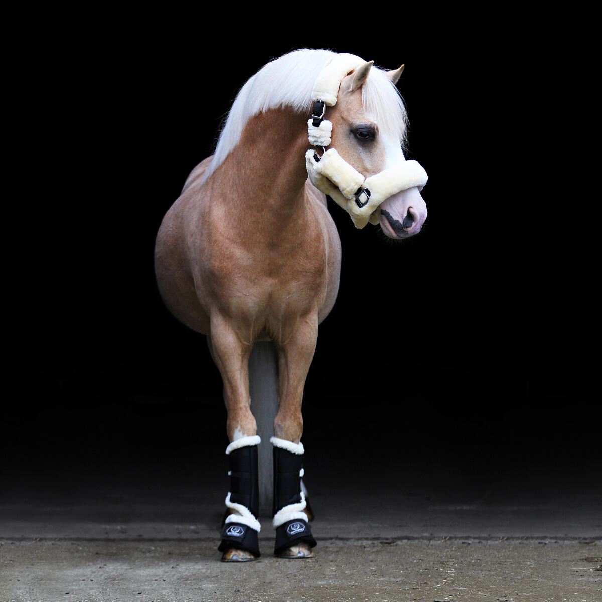 Licol Suave HORSEGEAR Naturel 3/6
