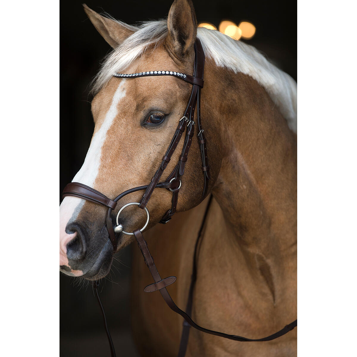 Trense Aquila Deluxe Horsegear Braun 6/6