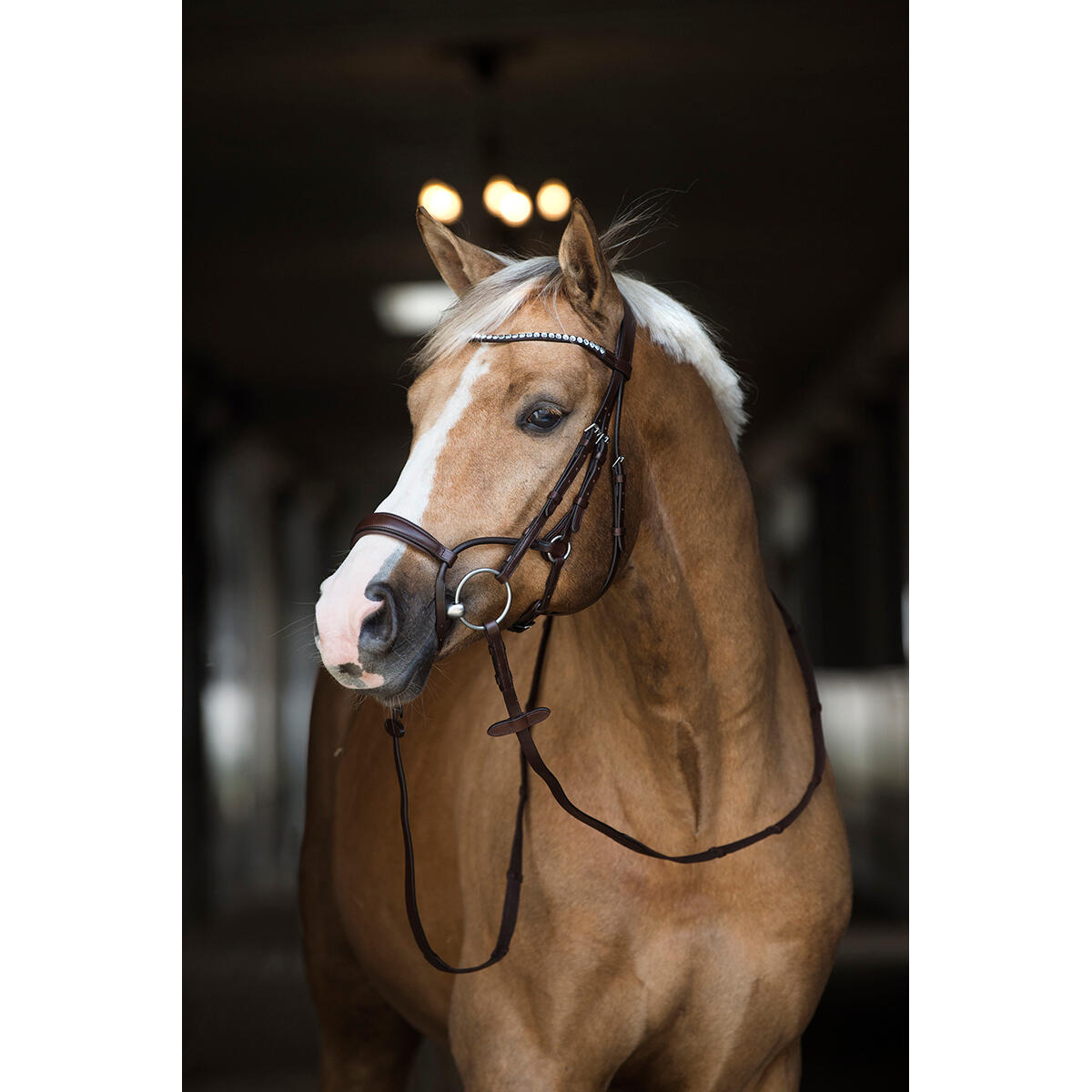 Trense Aquila Deluxe Horsegear Braun 5/6