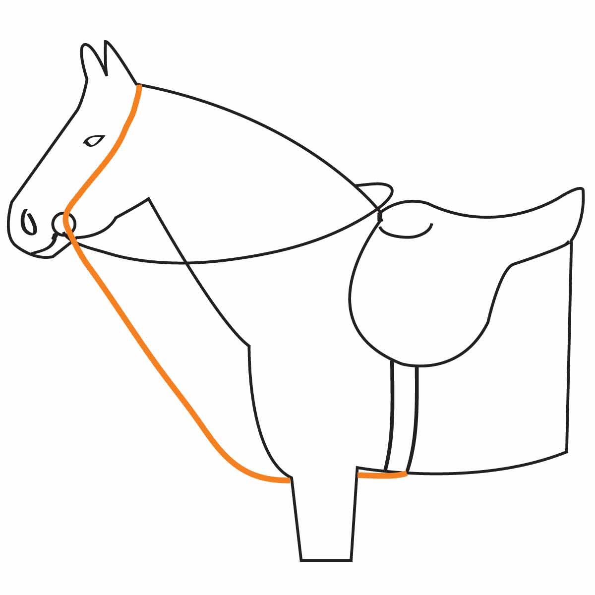 Elastische Ausbinder Harry's Horse 2/2