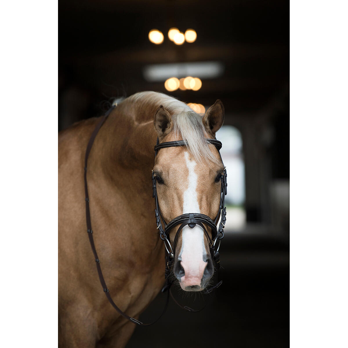 Hoofdstel HORSEGEAR Taron Bruin 3/3