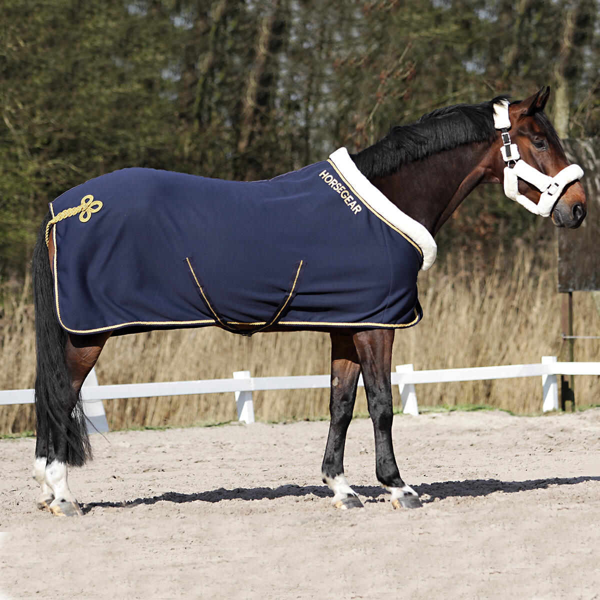 Chemise Séchante Lyx HORSEGEAR Bleu foncé 3/6