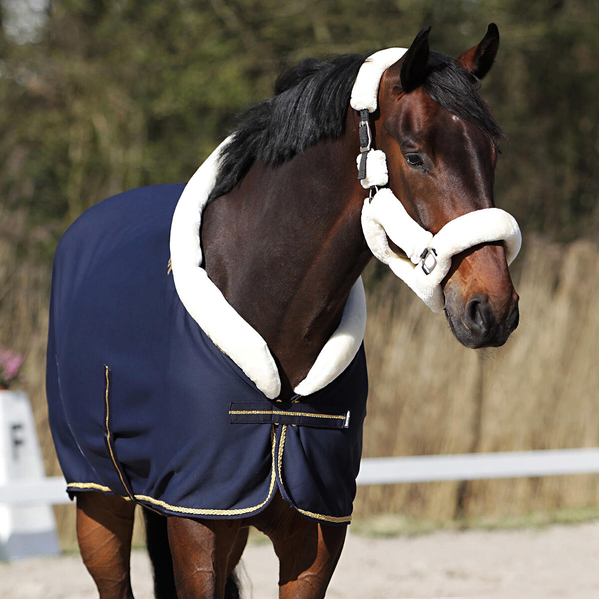 Chemise Séchante Lyx HORSEGEAR Bleu foncé 4/6