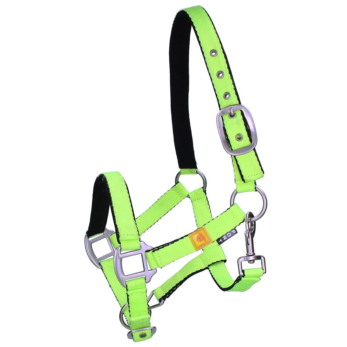 Halster Met Vliegenfrontriem Epplejeck Neon Groen 2/3