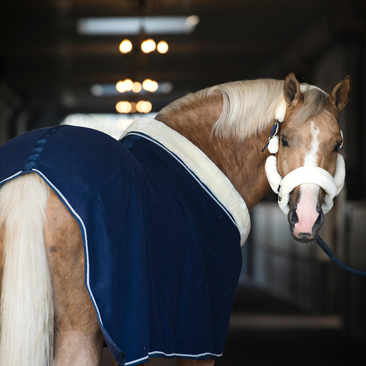 Abschwitzdecke Allure Horsegear Dunkelblau 5/6