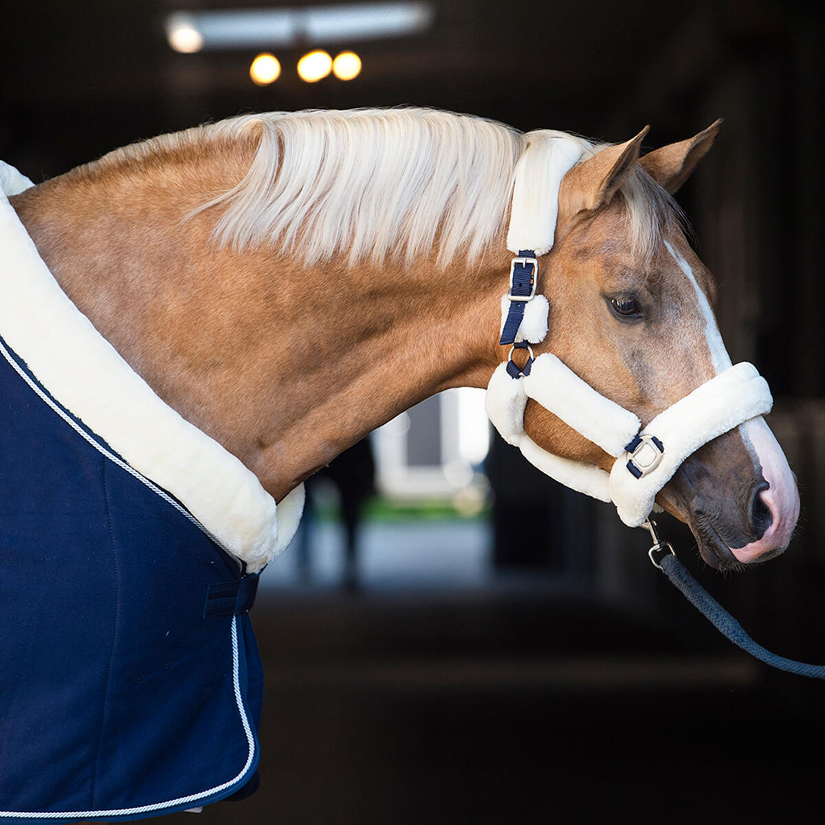 Abschwitzdecke Allure Horsegear Dunkelblau 4/6