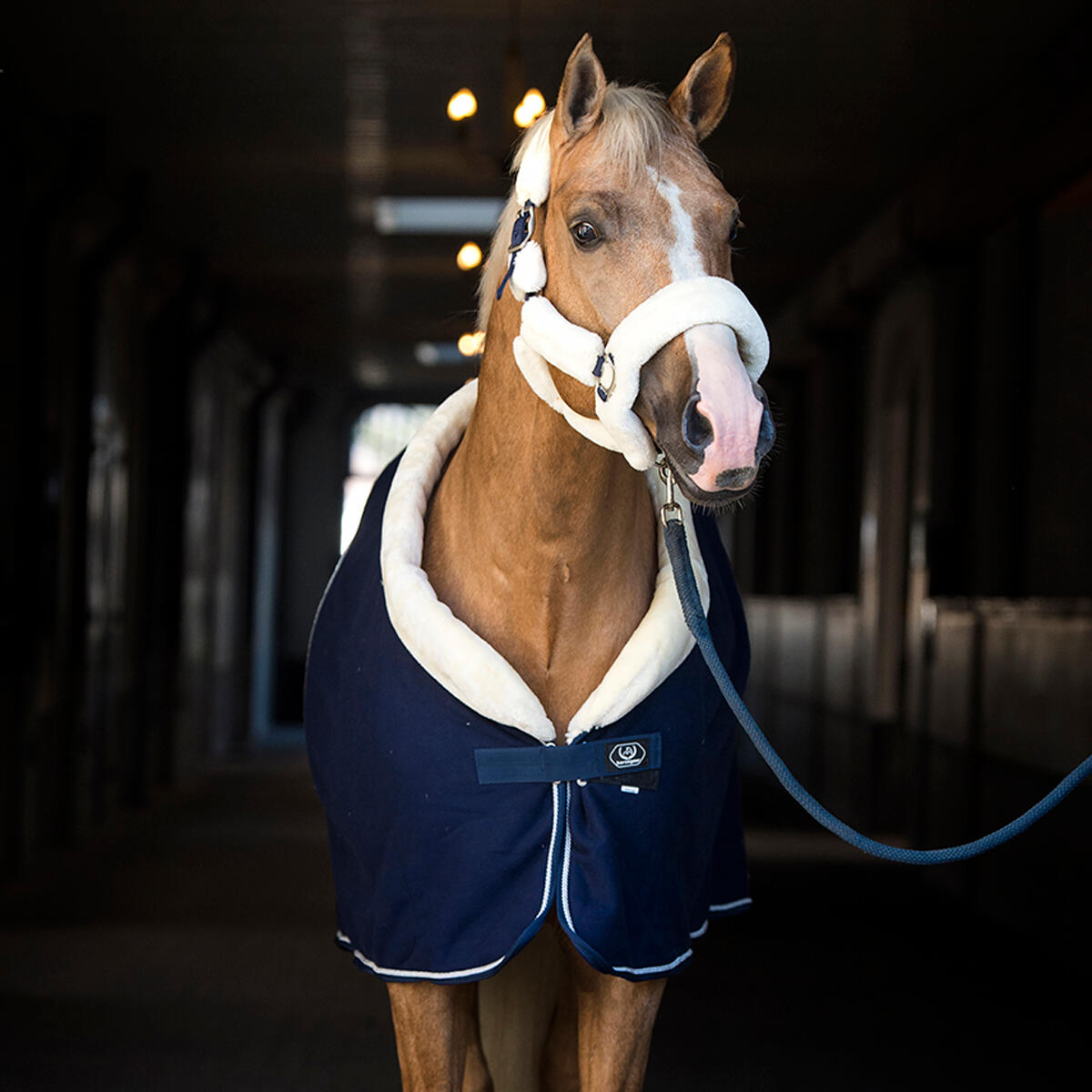 Abschwitzdecke Allure Horsegear Dunkelblau 6/6