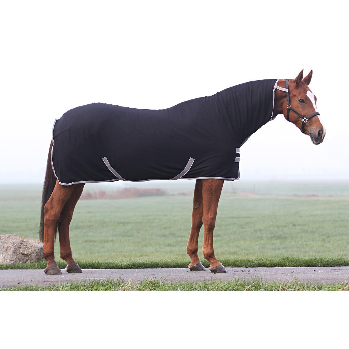 Abschwitzdecke EJSelva Full Neck Epplejeck Schwarz 4/4