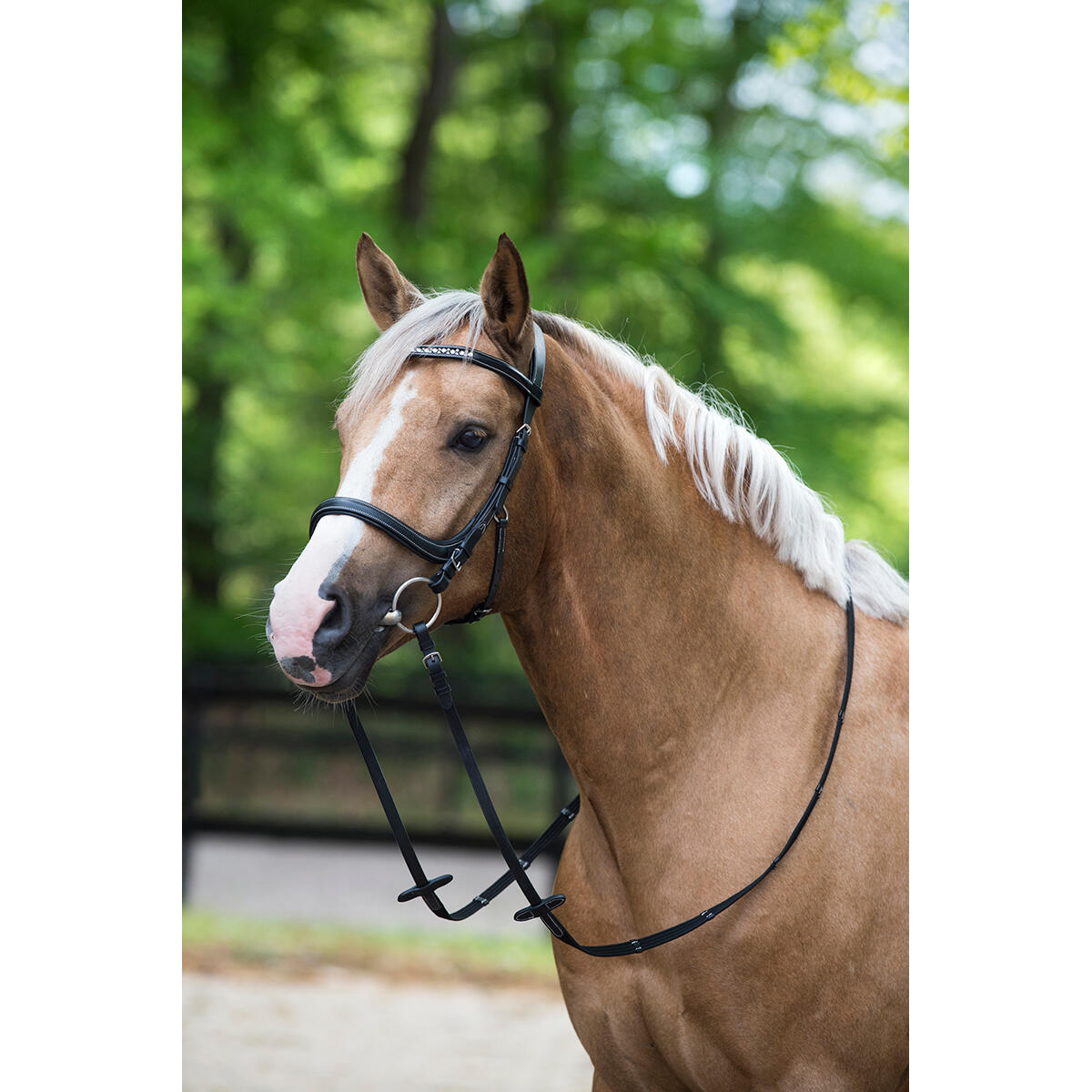Hoofdstel Horsegear Styx Zwart 3/4