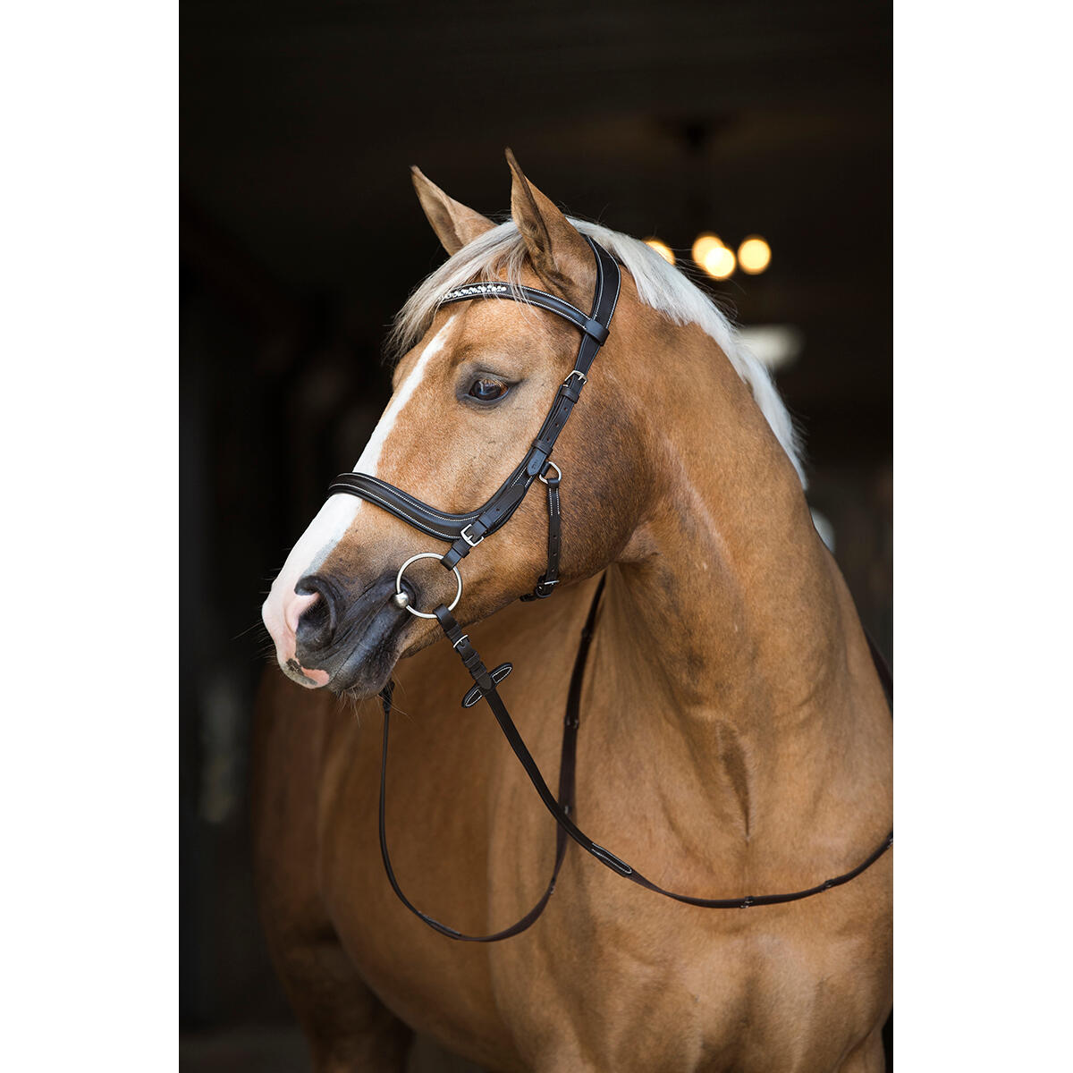 Trense Styx HORSEGEAR Braun 3/4